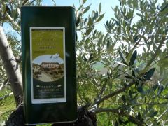 Olivenöl aus Cellino